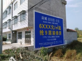 安福墙体广告质量分析